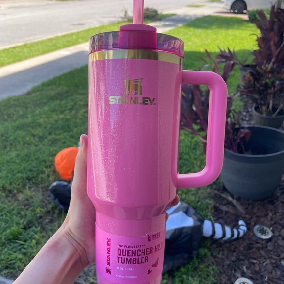 Wicked Stanley - Picture 2 of 3